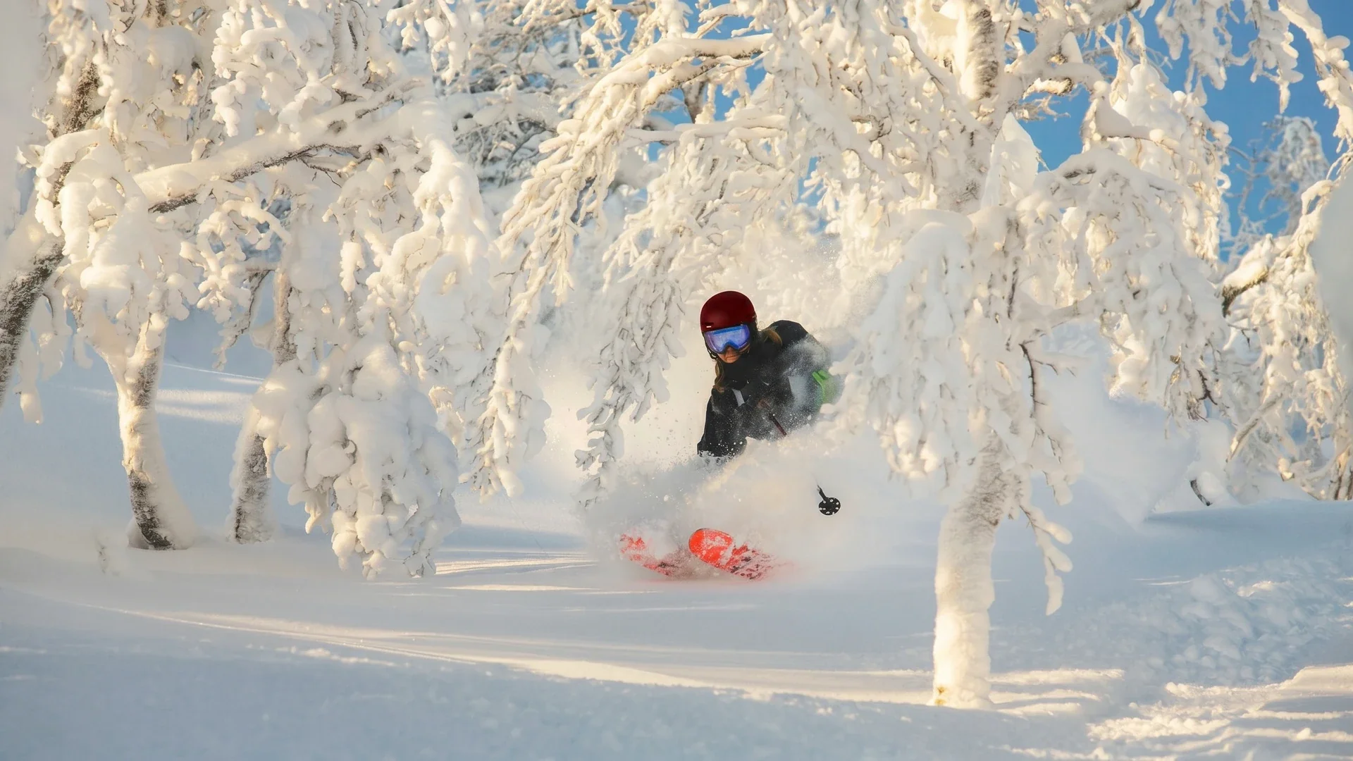 Master the Mountain This Winter